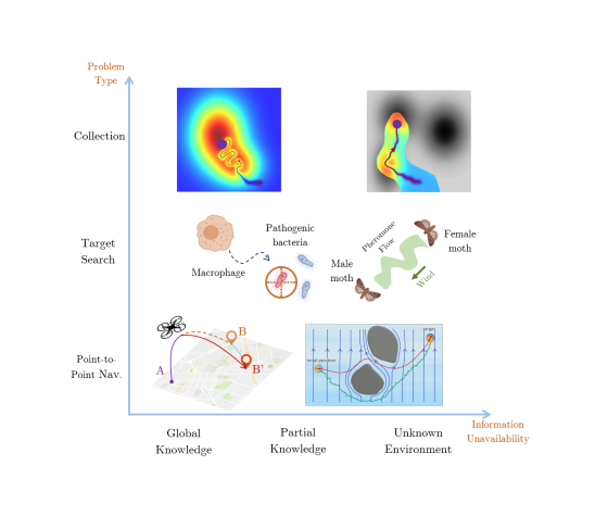 ipkm_liebchen_new_functional active matter