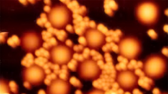 Masterthesis: Interaction between soft and solid nanoparticles at the water-air-interface